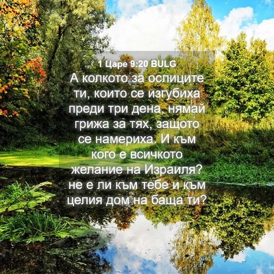Picture 04 - 1 Царе 9:20 BULG - А колкото за ослиците ти, - Bible Verse Picture