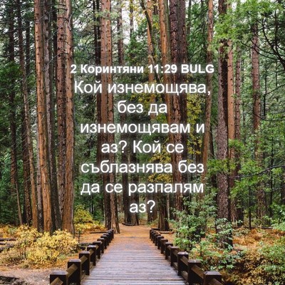 Picture 04 - 2 Коринтяни 11:29 BULG - Кой изнемощява, без да - Bible Verse Picture