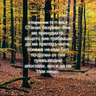 Picture 04 - 2 Коринтяни 12:11 BULG - Станах безумен. Вие ме - Bible Verse Picture