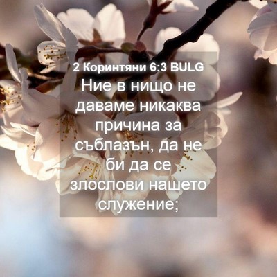 Picture 04 - 2 Коринтяни 6:3 BULG - Ние в нищо не даваме - Bible Verse Picture