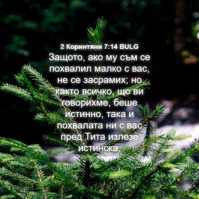 Picture 04 - 2 Коринтяни 7:14 BULG - Защото, ако му съм се - Bible Verse Picture
