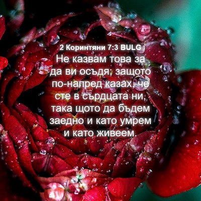 Picture 04 - 2 Коринтяни 7:3 BULG - Не казвам това за да ви - Bible Verse Picture