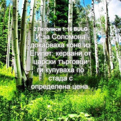 Picture 04 - 2 Летописи 1:16 BULG - И за Соломона докарваха - Bible Verse Picture