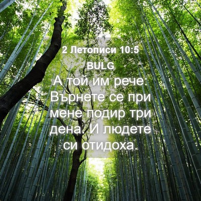 Picture 04 - 2 Летописи 10:5 BULG - А той им рече: Върнете се - Bible Verse Picture
