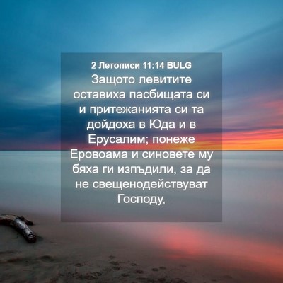 Picture 04 - 2 Летописи 11:14 BULG - Защото левитите оставиха - Bible Verse Picture