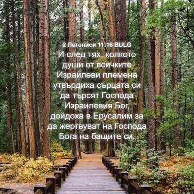 Picture 04 - 2 Летописи 11:16 BULG - И след тях, колкото души от - Bible Verse Picture