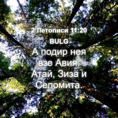 Picture 04 - 2 Летописи 11:20 BULG - А подир нея взе Авия, Атай, - Bible Verse Picture