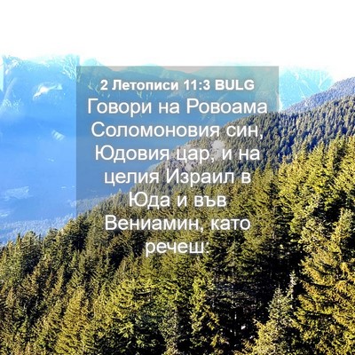 Picture 04 - 2 Летописи 11:3 BULG - Говори на Ровоама - Bible Verse Picture
