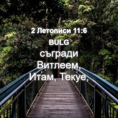 Picture 04 - 2 Летописи 11:6 BULG - съгради Витлеем, Итам, - Bible Verse Picture