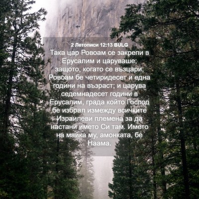 Picture 04 - 2 Летописи 12:13 BULG - Така цар Ровоам се закрепи - Bible Verse Picture