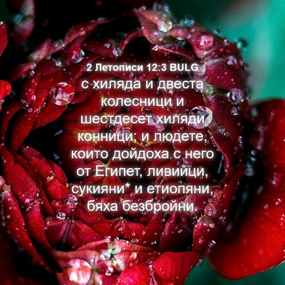 Picture 04 - 2 Летописи 12:3 BULG - с хиляда и двеста - Bible Verse Picture