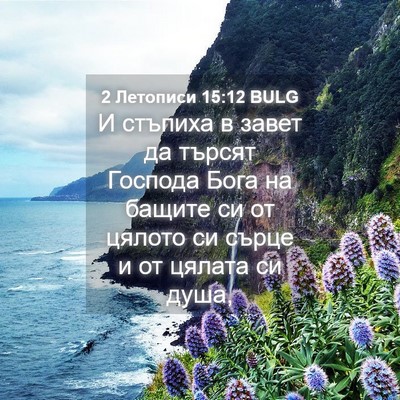 Picture 04 - 2 Летописи 15:12 BULG - И стъпиха в завет да търсят - Bible Verse Picture