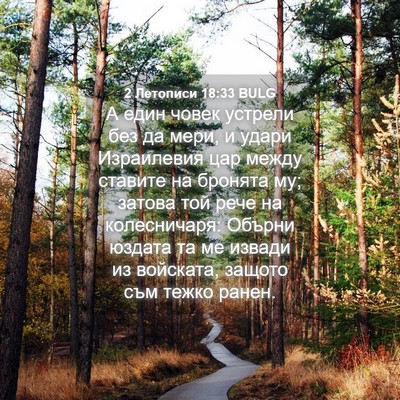 Picture 04 - 2 Летописи 18:33 BULG - А един човек устрели без да - Bible Verse Picture