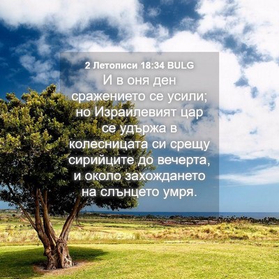 Picture 04 - 2 Летописи 18:34 BULG - И в оня ден сражението се - Bible Verse Picture