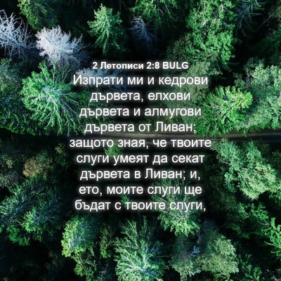 Picture 04 - 2 Летописи 2:8 BULG - Изпрати ми и кедрови - Bible Verse Picture