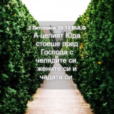 Picture 04 - 2 Летописи 20:13 BULG - А целият Юда стоеше пред - Bible Verse Picture