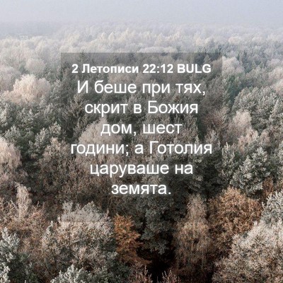 Picture 04 - 2 Летописи 22:12 BULG - И беше при тях, скрит в - Bible Verse Picture