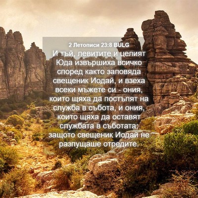 Picture 04 - 2 Летописи 23:8 BULG - И тъй, левитите и целият - Bible Verse Picture