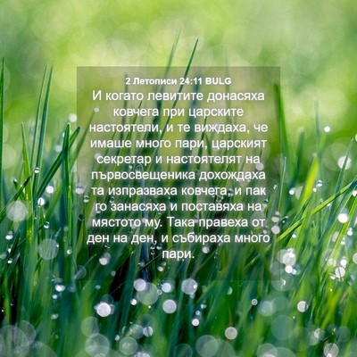 Picture 04 - 2 Летописи 24:11 BULG - И когато левитите донасяха - Bible Verse Picture