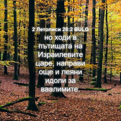 Picture 04 - 2 Летописи 28:2 BULG - но ходи в пътищата на - Bible Verse Picture