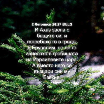 Picture 04 - 2 Летописи 28:27 BULG - И Ахаз заспа с бащите си; и - Bible Verse Picture