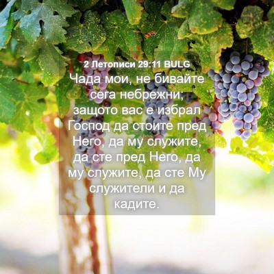 Picture 04 - 2 Летописи 29:11 BULG - Чада мои, не бивайте сега - Bible Verse Picture