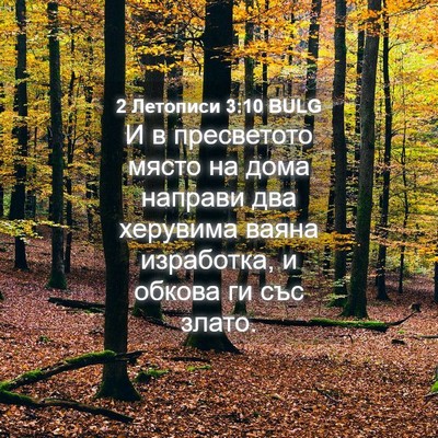 Picture 04 - 2 Летописи 3:10 BULG - И в пресветото място на - Bible Verse Picture