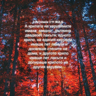 Picture 04 - 2 Летописи 3:11 BULG - А крилата на херувимите - Bible Verse Picture