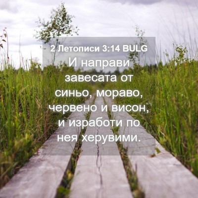 Picture 04 - 2 Летописи 3:14 BULG - И направи завесата от - Bible Verse Picture