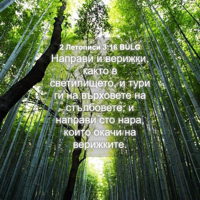 Picture 04 - 2 Летописи 3:16 BULG - Направи и верижки, както в - Bible Verse Picture