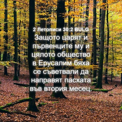 Picture 04 - 2 Летописи 30:2 BULG - Защото царят и първенците - Bible Verse Picture