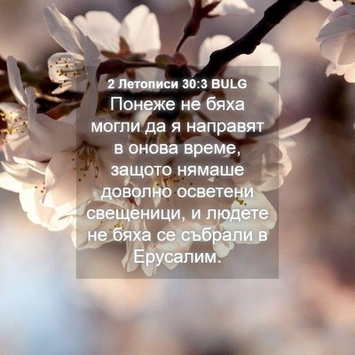 Picture 04 - 2 Летописи 30:3 BULG - Понеже не бяха могли да я - Bible Verse Picture