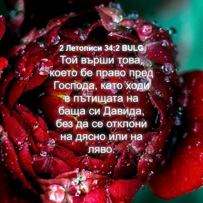 Picture 04 - 2 Летописи 34:2 BULG - Той върши това, което бе - Bible Verse Picture