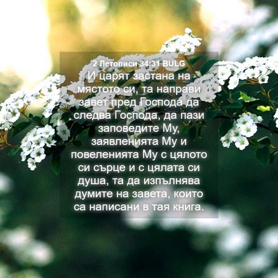 Picture 04 - 2 Летописи 34:31 BULG - И царят застана на мястото - Bible Verse Picture