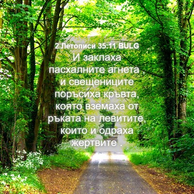 Picture 04 - 2 Летописи 35:11 BULG - И заклаха пасхалните - Bible Verse Picture
