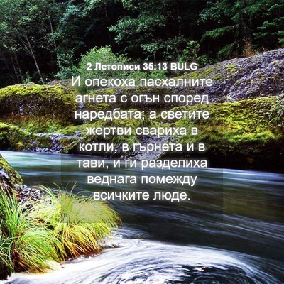 Picture 04 - 2 Летописи 35:13 BULG - И опекоха пасхалните - Bible Verse Picture