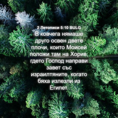 Picture 04 - 2 Летописи 5:10 BULG - В ковчега нямаше друго - Bible Verse Picture