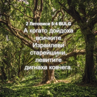 Picture 04 - 2 Летописи 5:4 BULG - А когато дойдоха всичките - Bible Verse Picture