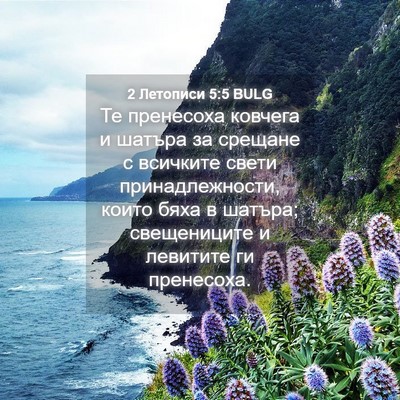 Picture 04 - 2 Летописи 5:5 BULG - Те пренесоха ковчега и - Bible Verse Picture