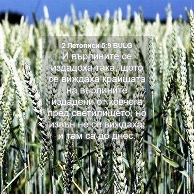 Picture 04 - 2 Летописи 5:9 BULG - И върлините се издадоха - Bible Verse Picture