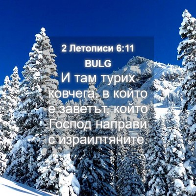 Picture 04 - 2 Летописи 6:11 BULG - И там турих ковчега, в - Bible Verse Picture