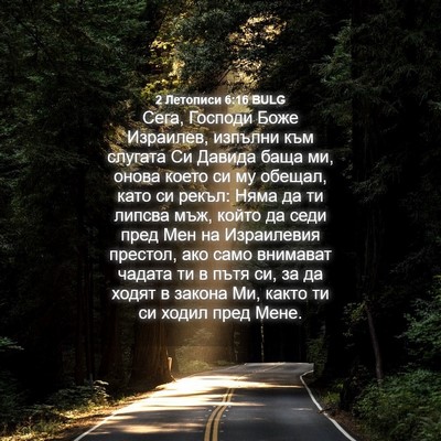 Picture 04 - 2 Летописи 6:16 BULG - Сега, Господи Боже - Bible Verse Picture