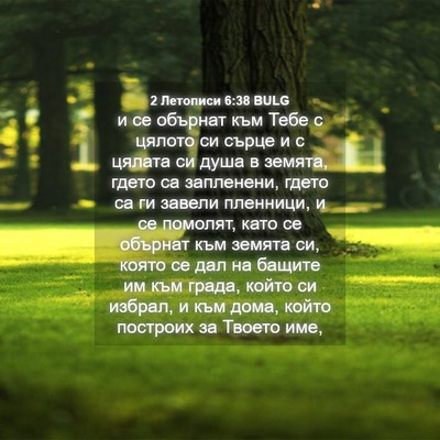 Picture 04 - 2 Летописи 6:38 BULG - и се обърнат към Тебе с - Bible Verse Picture