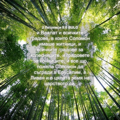 Picture 04 - 2 Летописи 8:6 BULG - и Ваалат и всичките - Bible Verse Picture