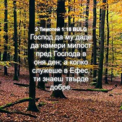 Picture 04 - 2 Тимотей 1:18 BULG - Господ да му даде да намери - Bible Verse Picture