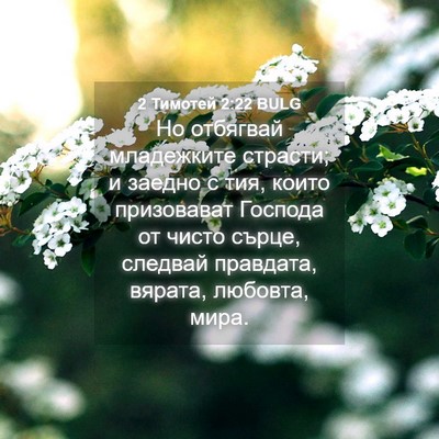 Picture 04 - 2 Тимотей 2:22 BULG - Но отбягвай младежките - Bible Verse Picture