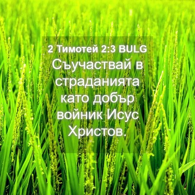 Picture 04 - 2 Тимотей 2:3 BULG - Съучаствай в страданията - Bible Verse Picture