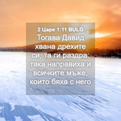 Picture 04 - 2 Царе 1:11 BULG - Тогава Давид хвана дрехите - Bible Verse Picture