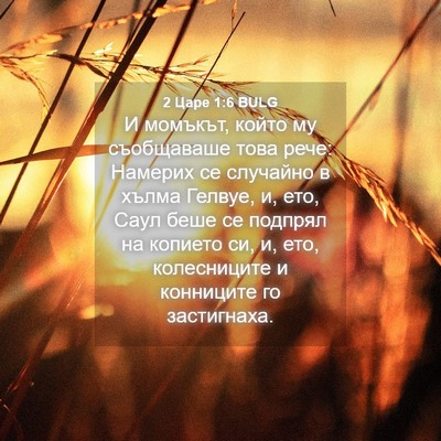 Picture 04 - 2 Царе 1:6 BULG - И момъкът, който му - Bible Verse Picture