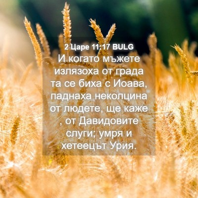 Picture 04 - 2 Царе 11:17 BULG - И когато мъжете излязоха - Bible Verse Picture